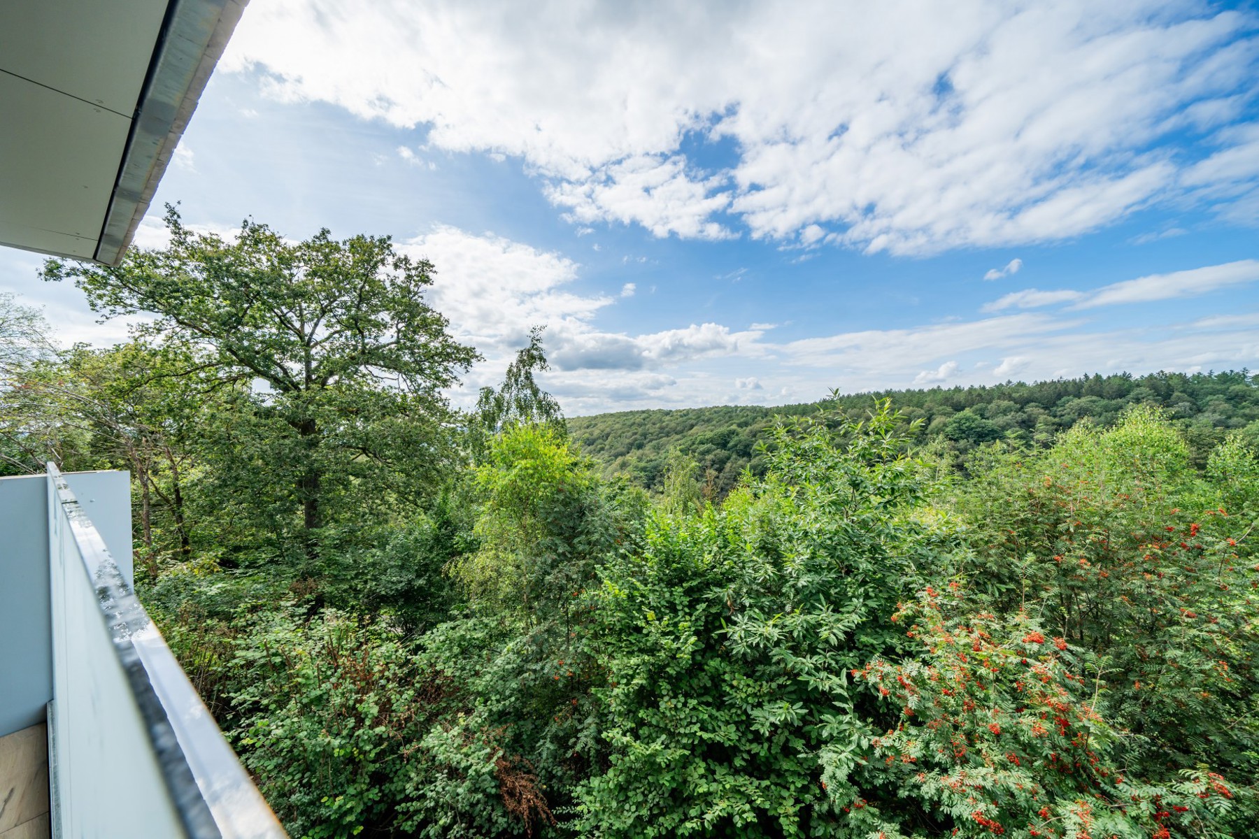 Illustration de la galerie