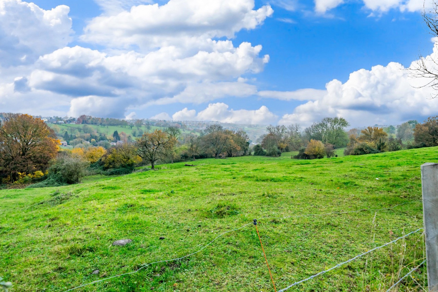 Illustration de la galerie