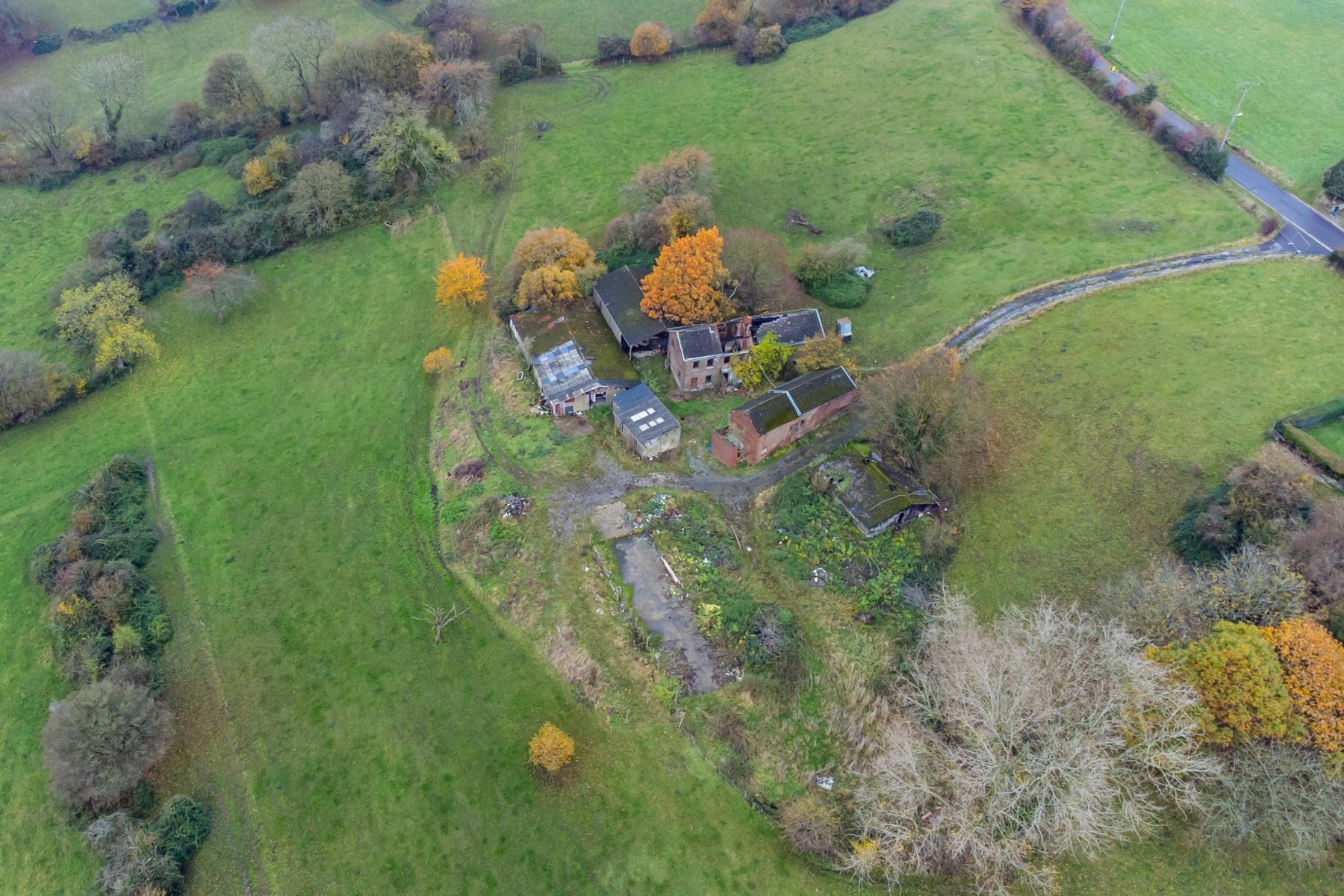 Illustration de la galerie