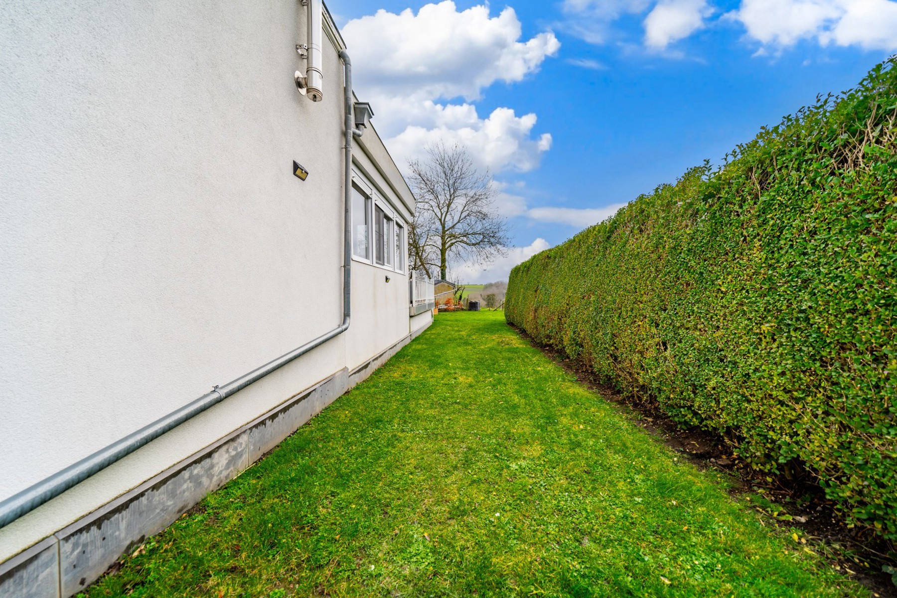 Illustration de la galerie