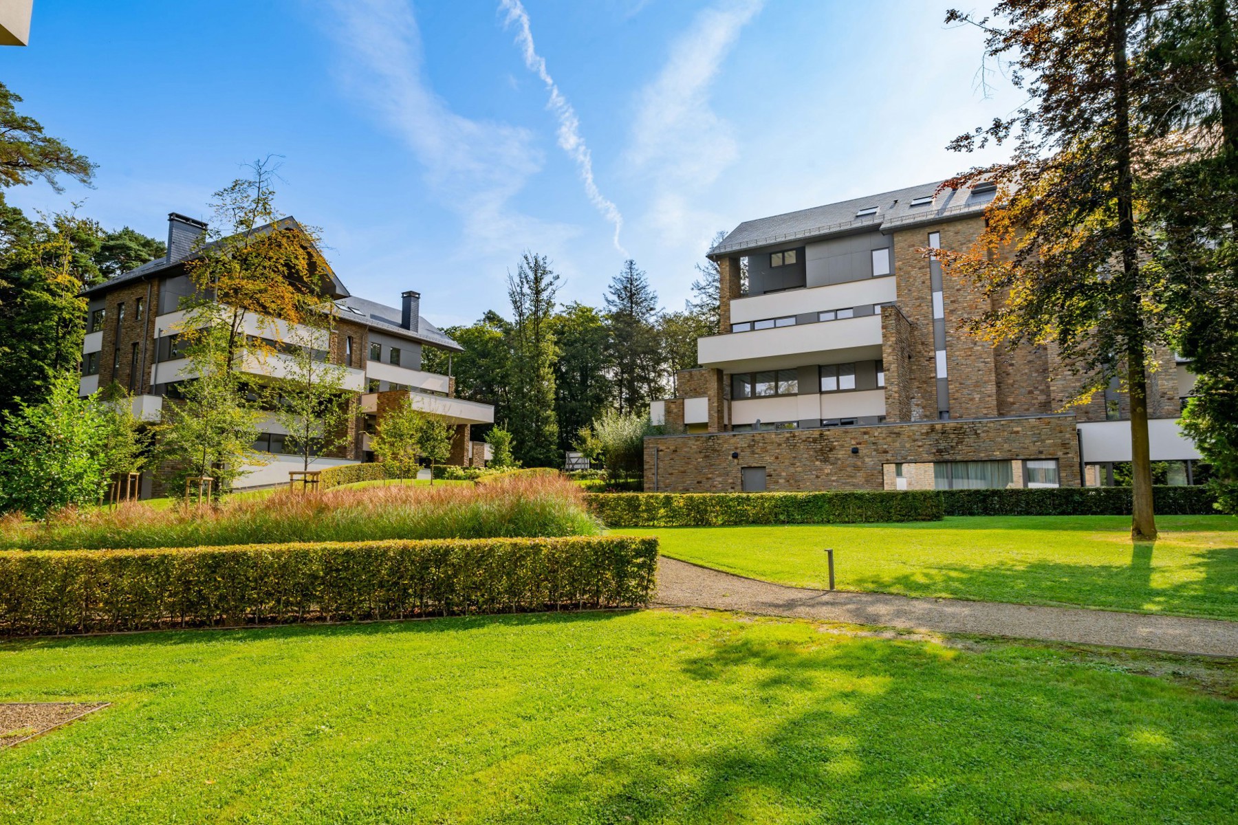 Illustration de la galerie