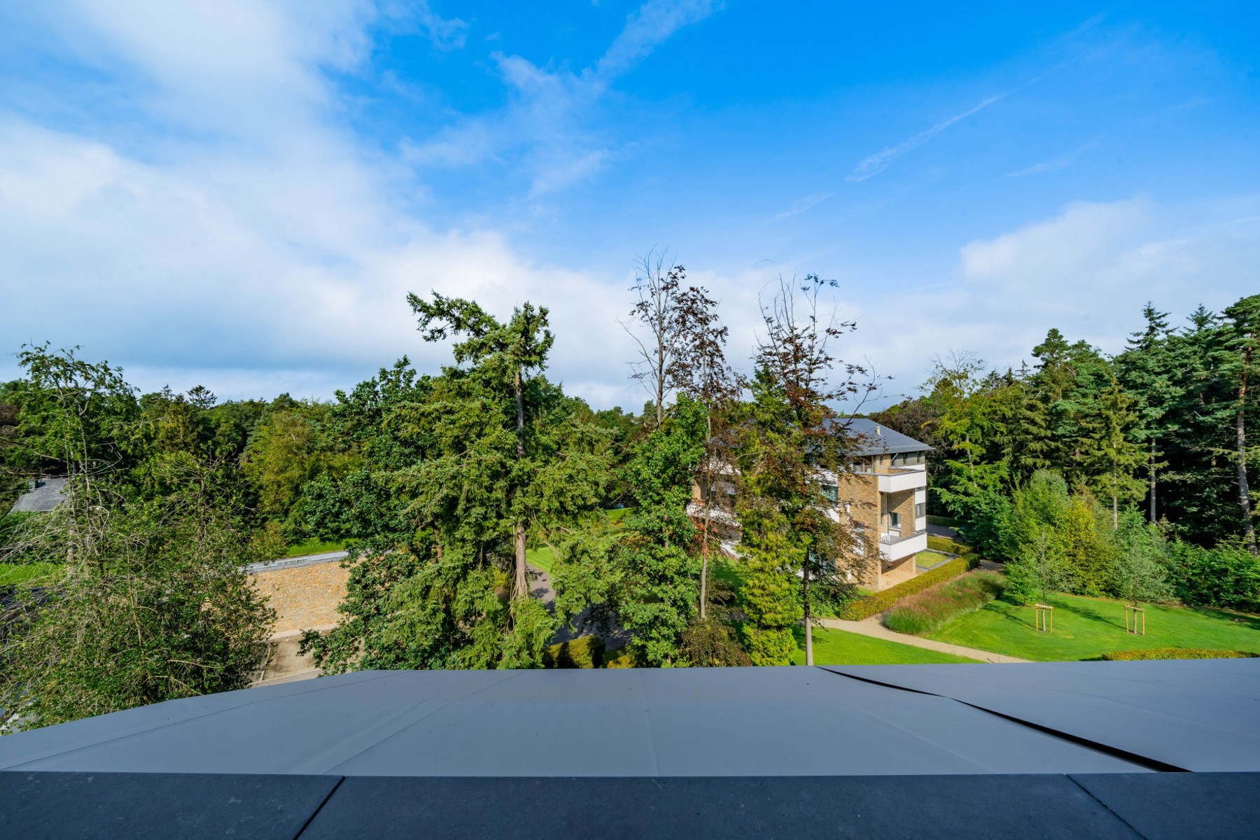 Illustration de la galerie