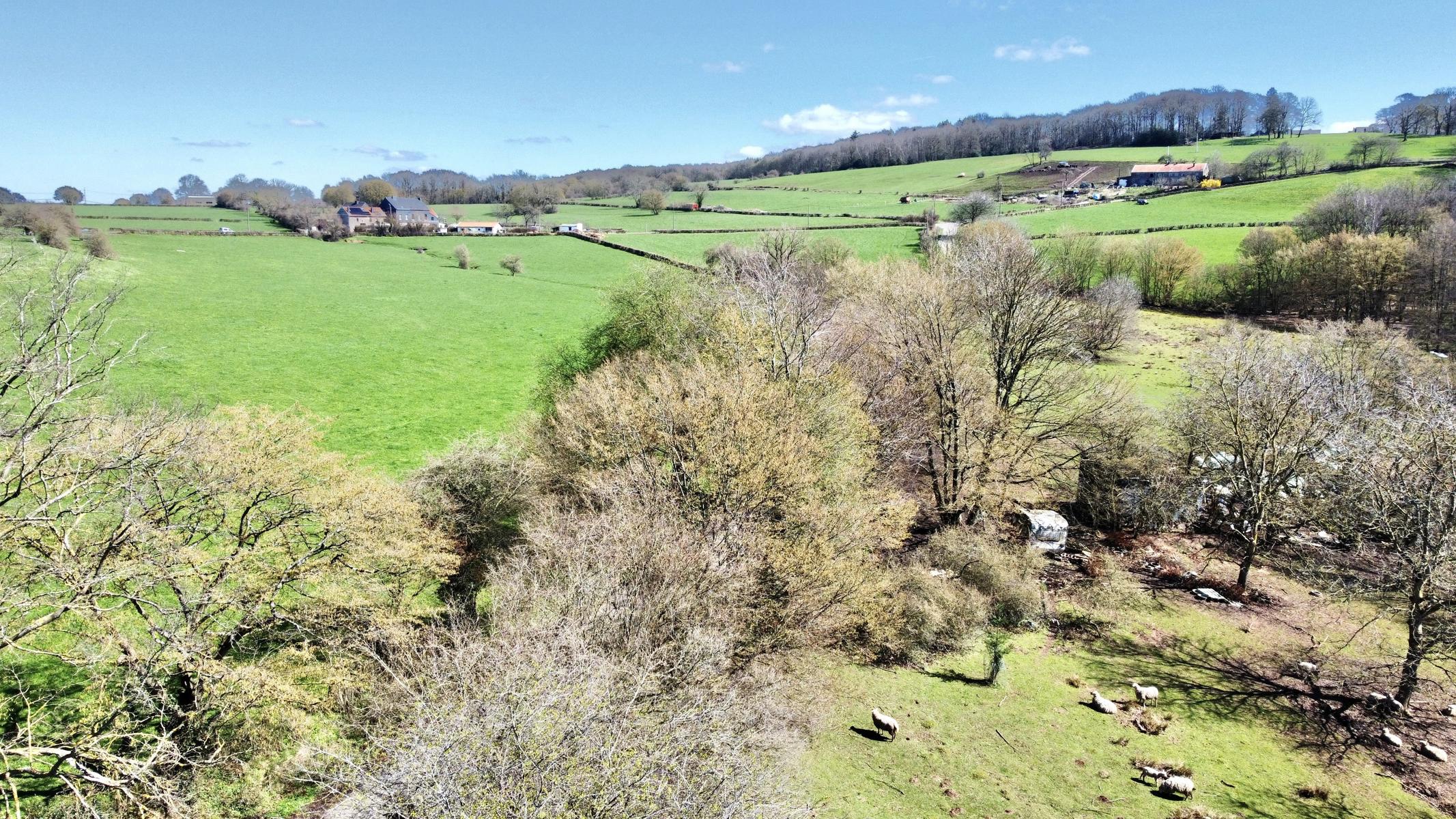 Illustration de la galerie