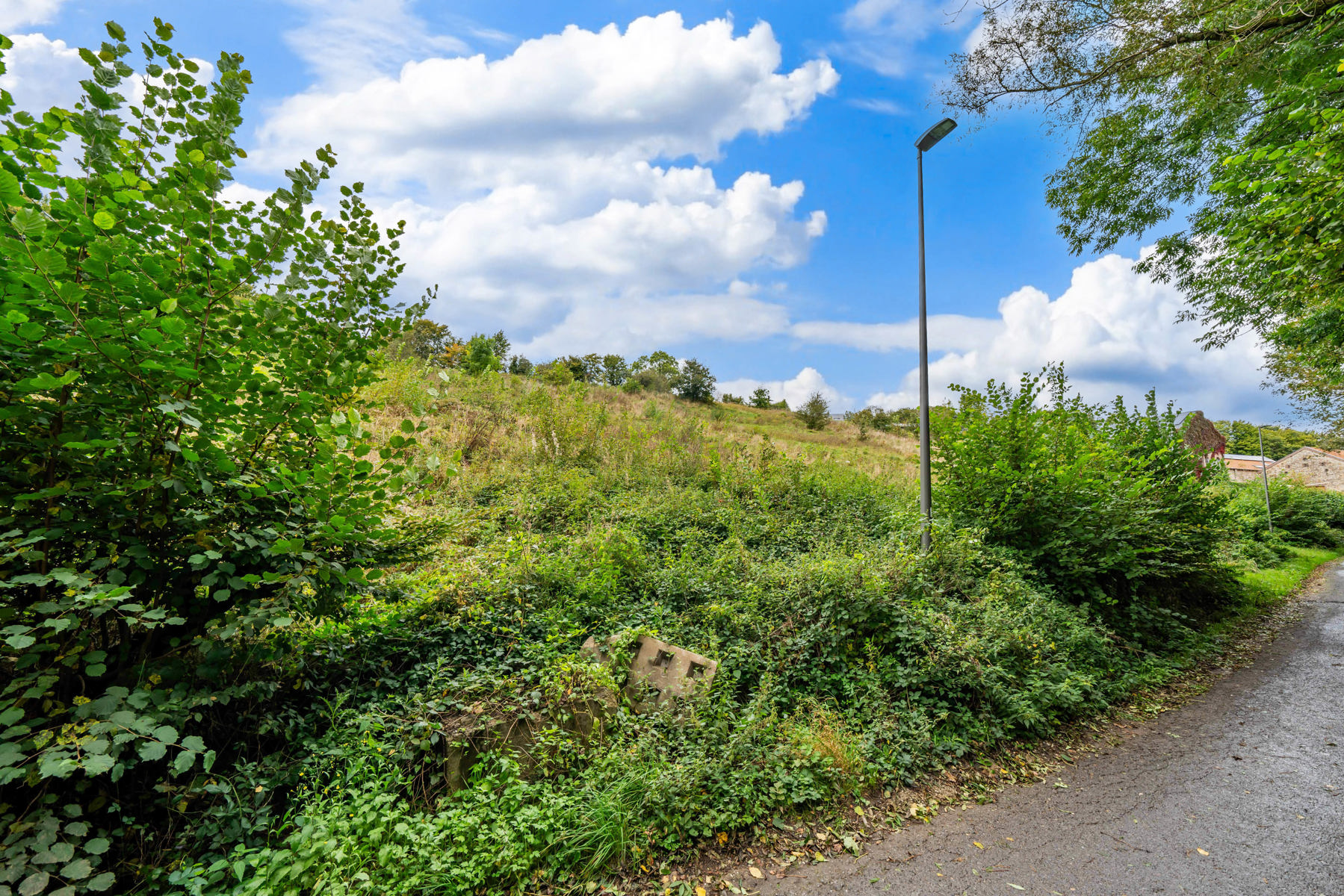 Illustration de la galerie