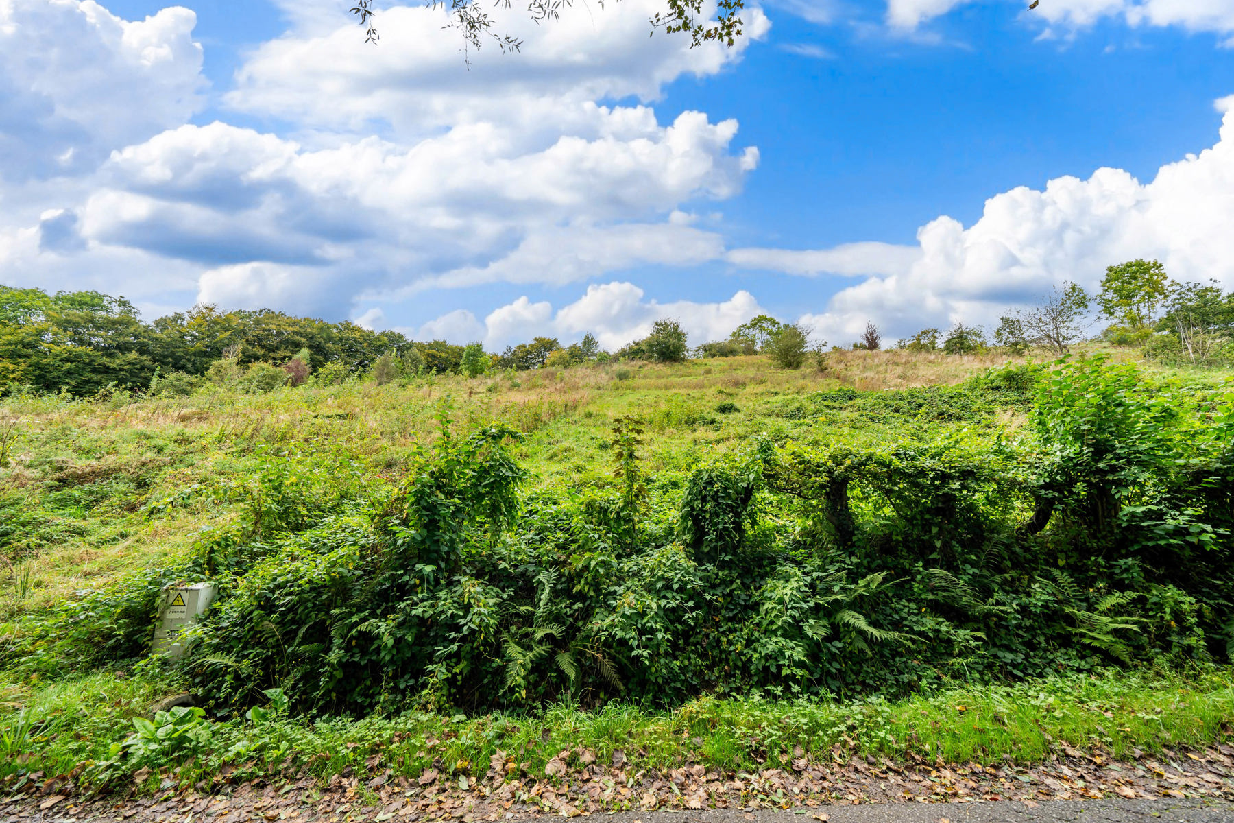 Illustration de la galerie