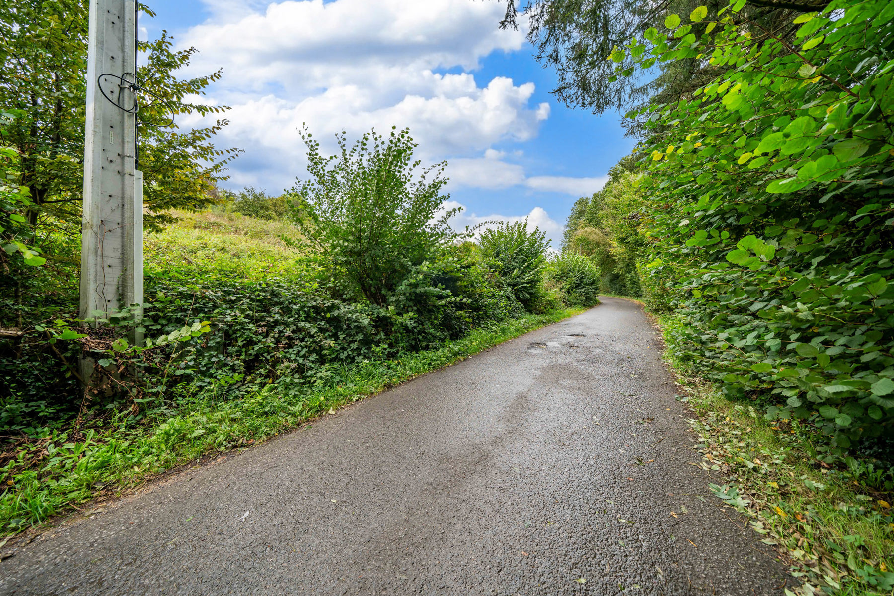 Illustration de la galerie