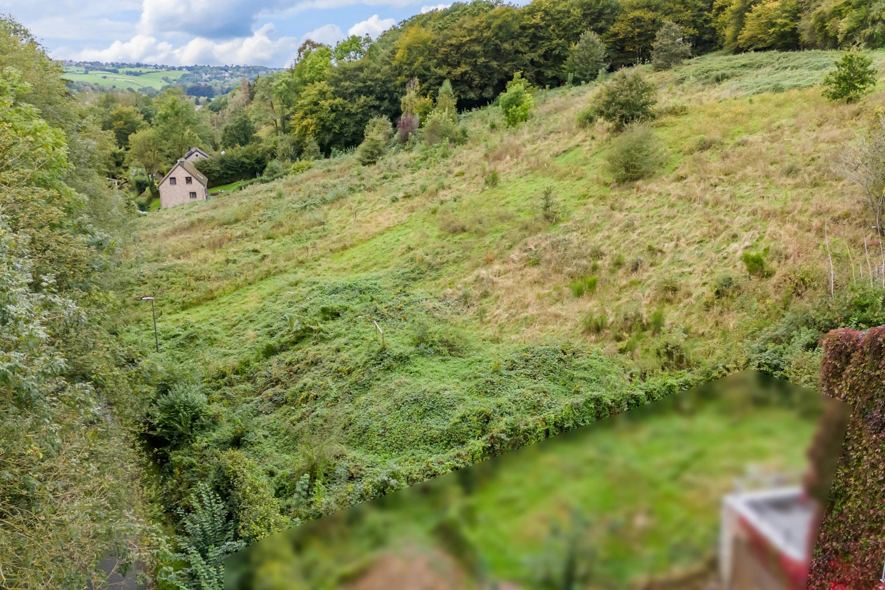 Illustration de la galerie