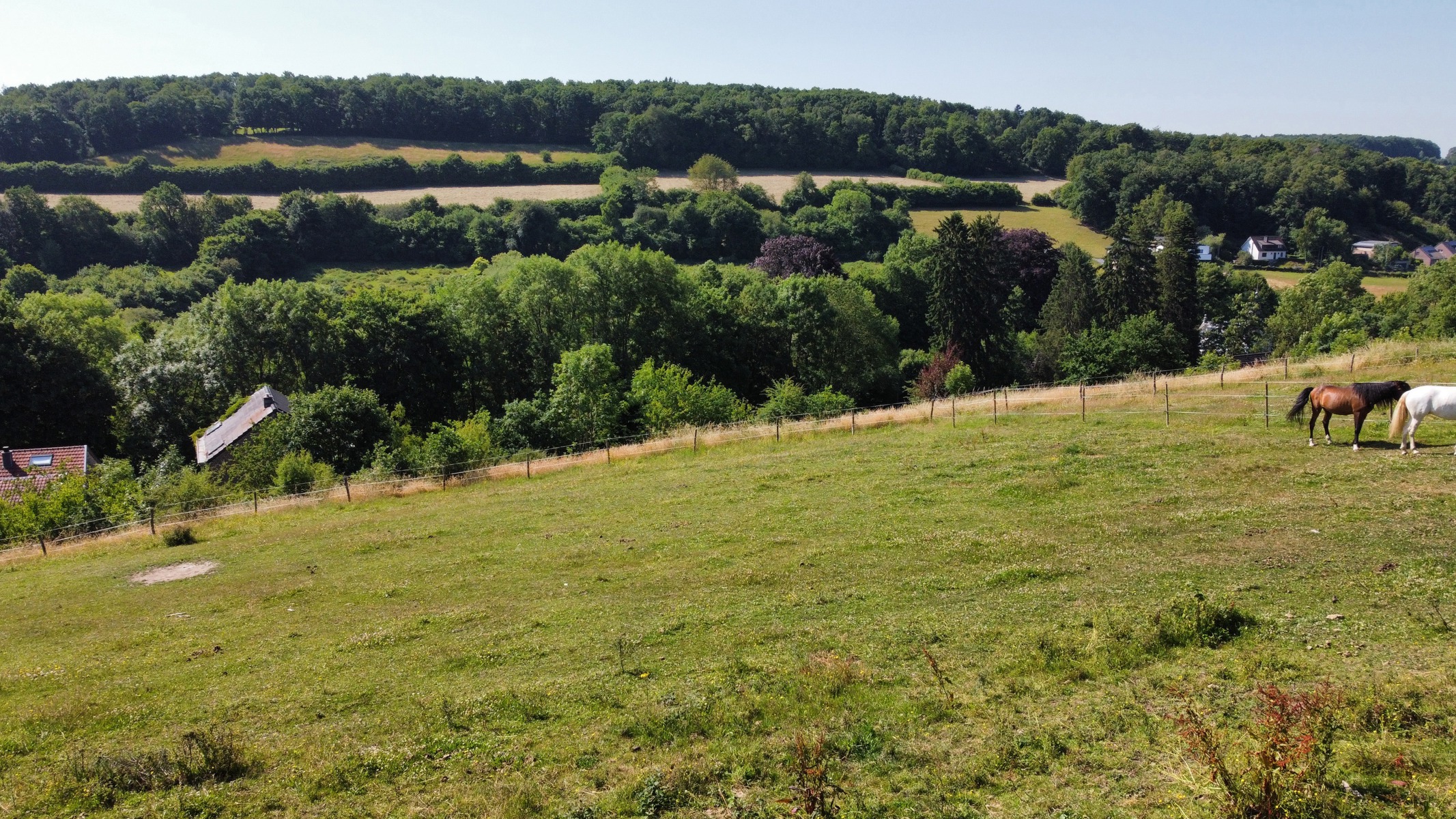 Illustration de la galerie