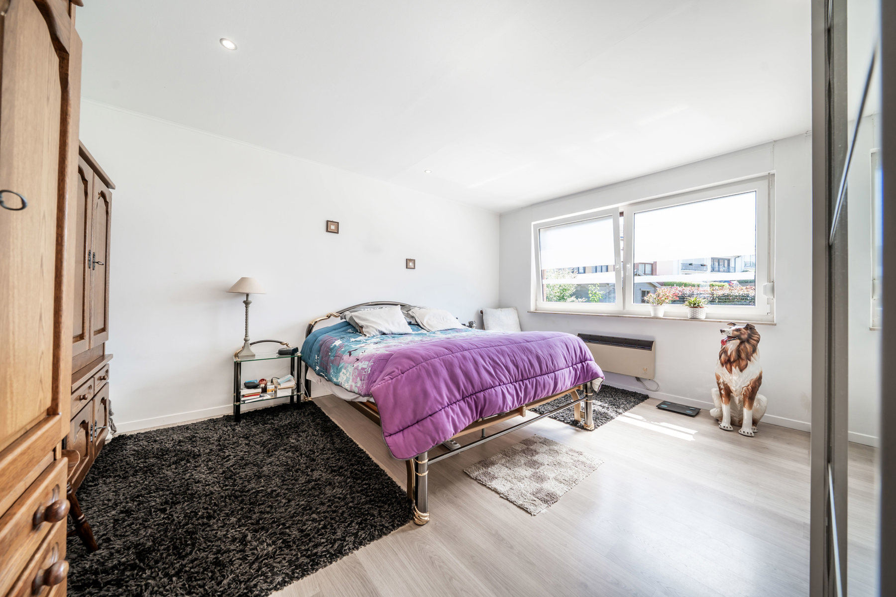 Illustration de la galerie