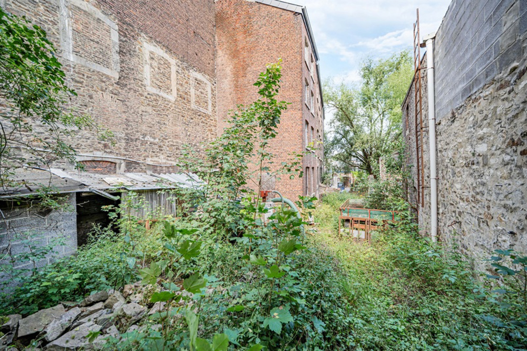 Illustration de la galerie