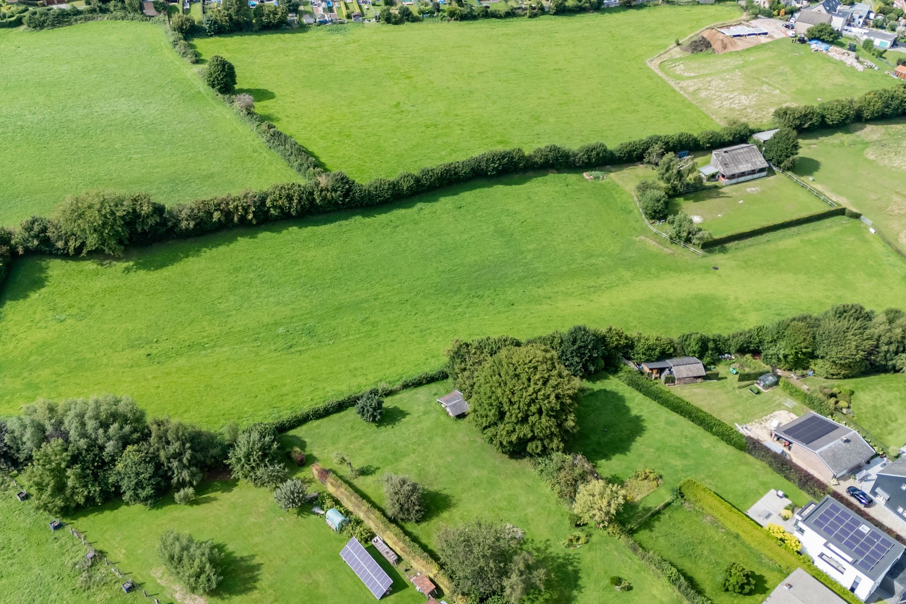 Illustration de la galerie