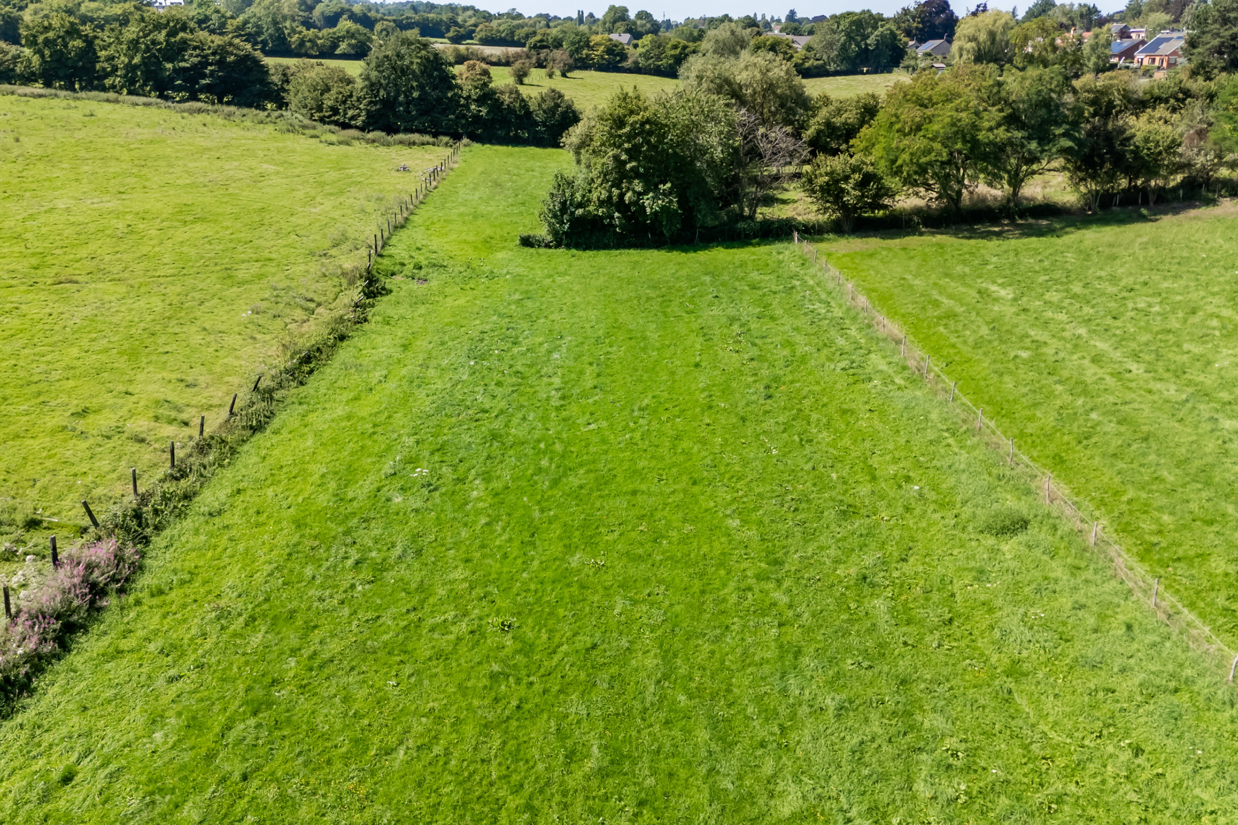 Illustration de la galerie