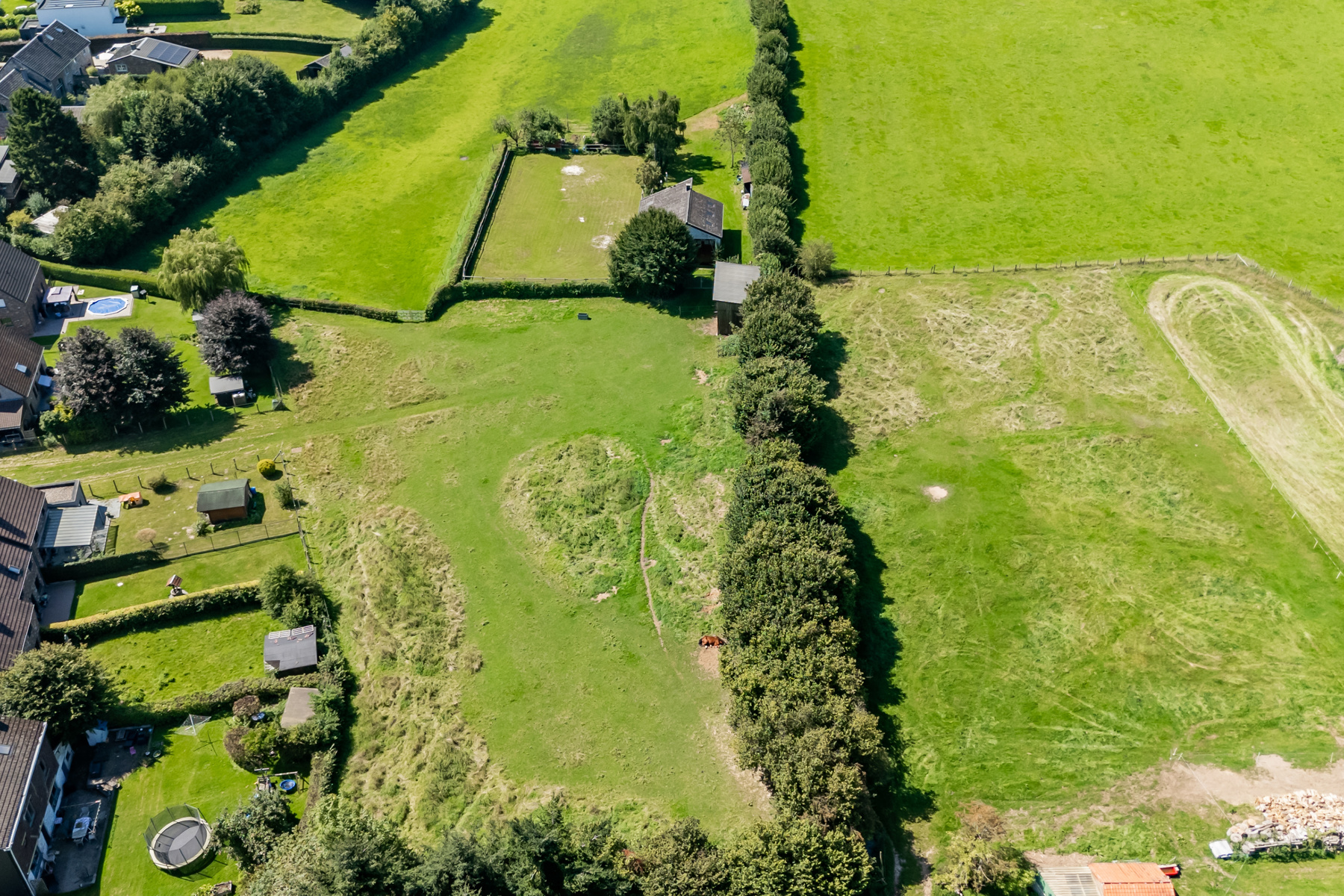 Illustration de la galerie