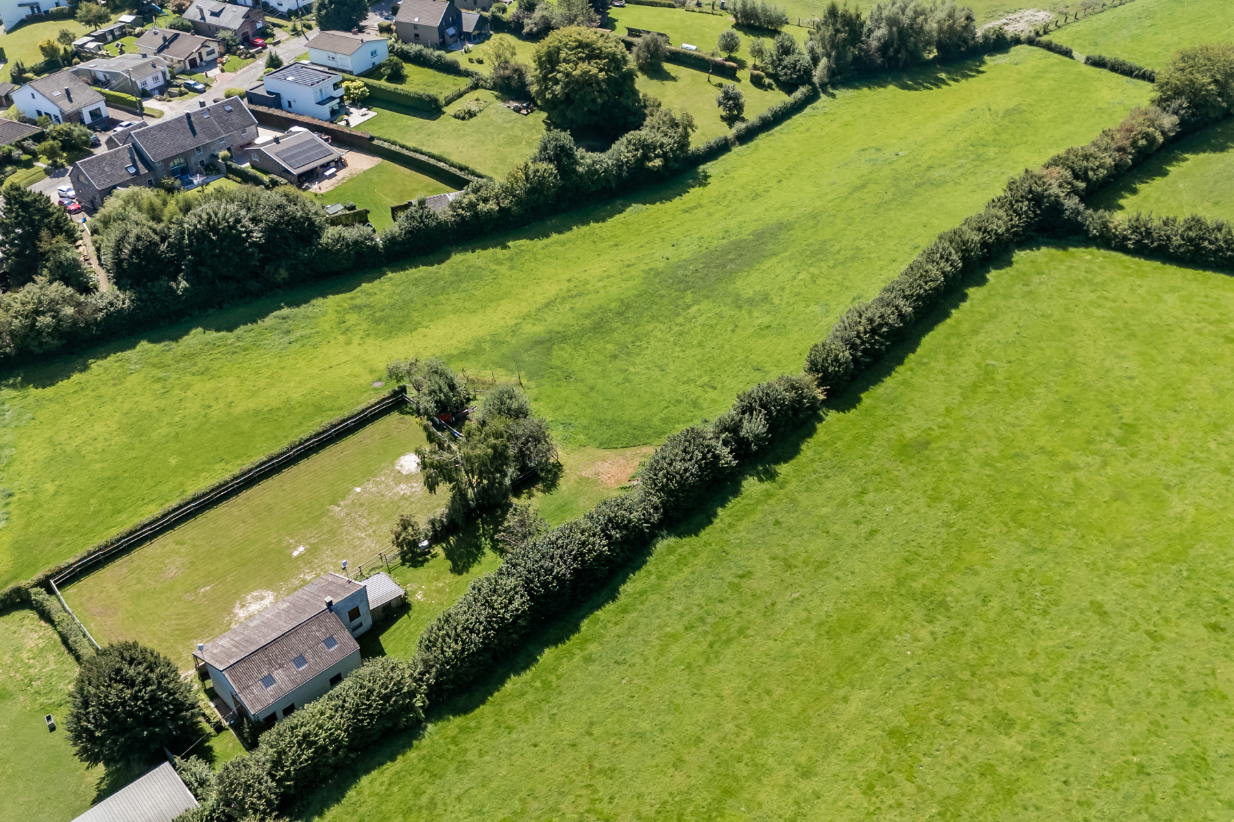 Illustration de la galerie