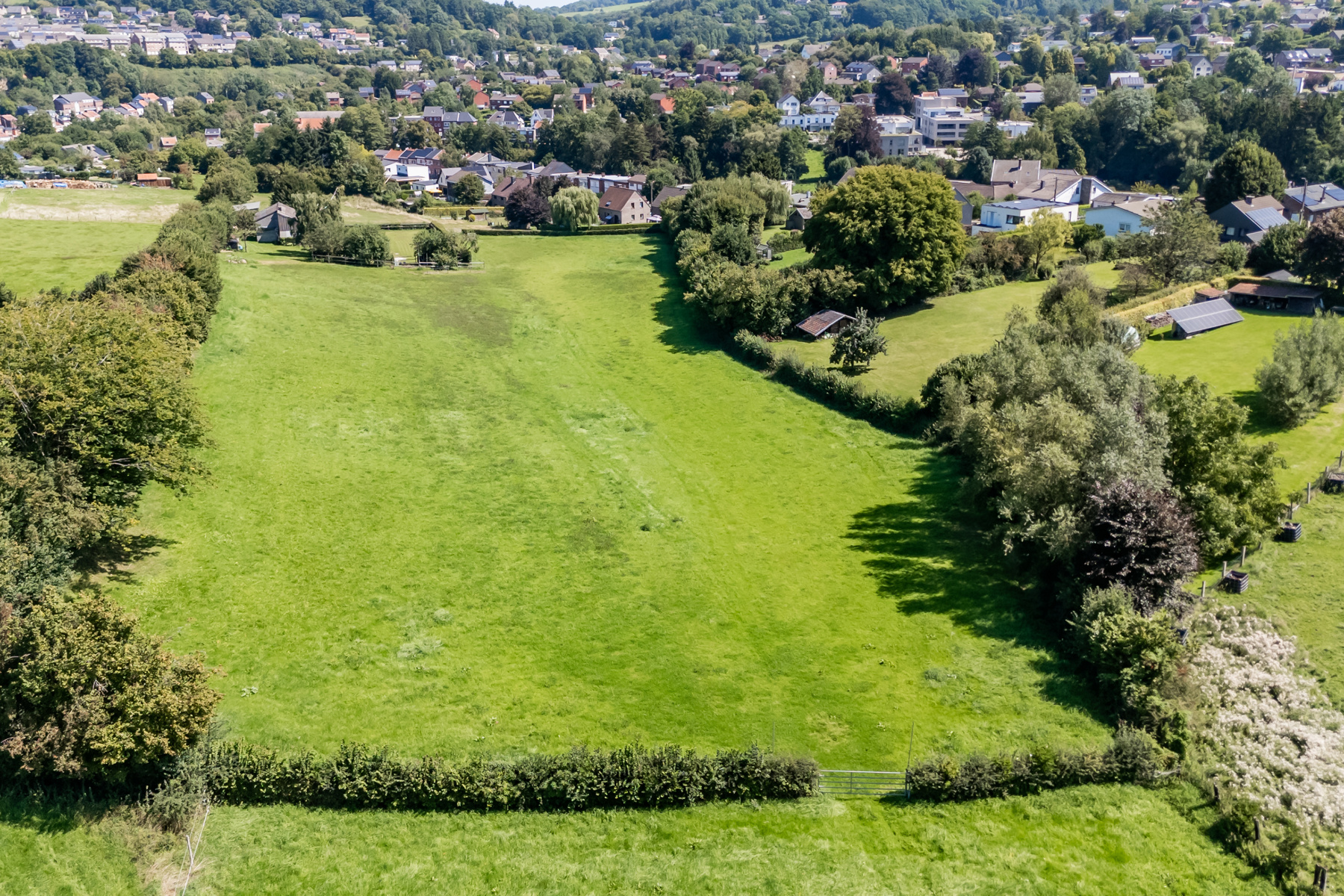 Illustration de la galerie