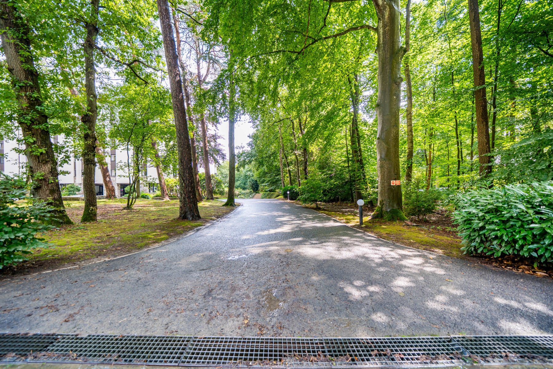 Illustration de la galerie