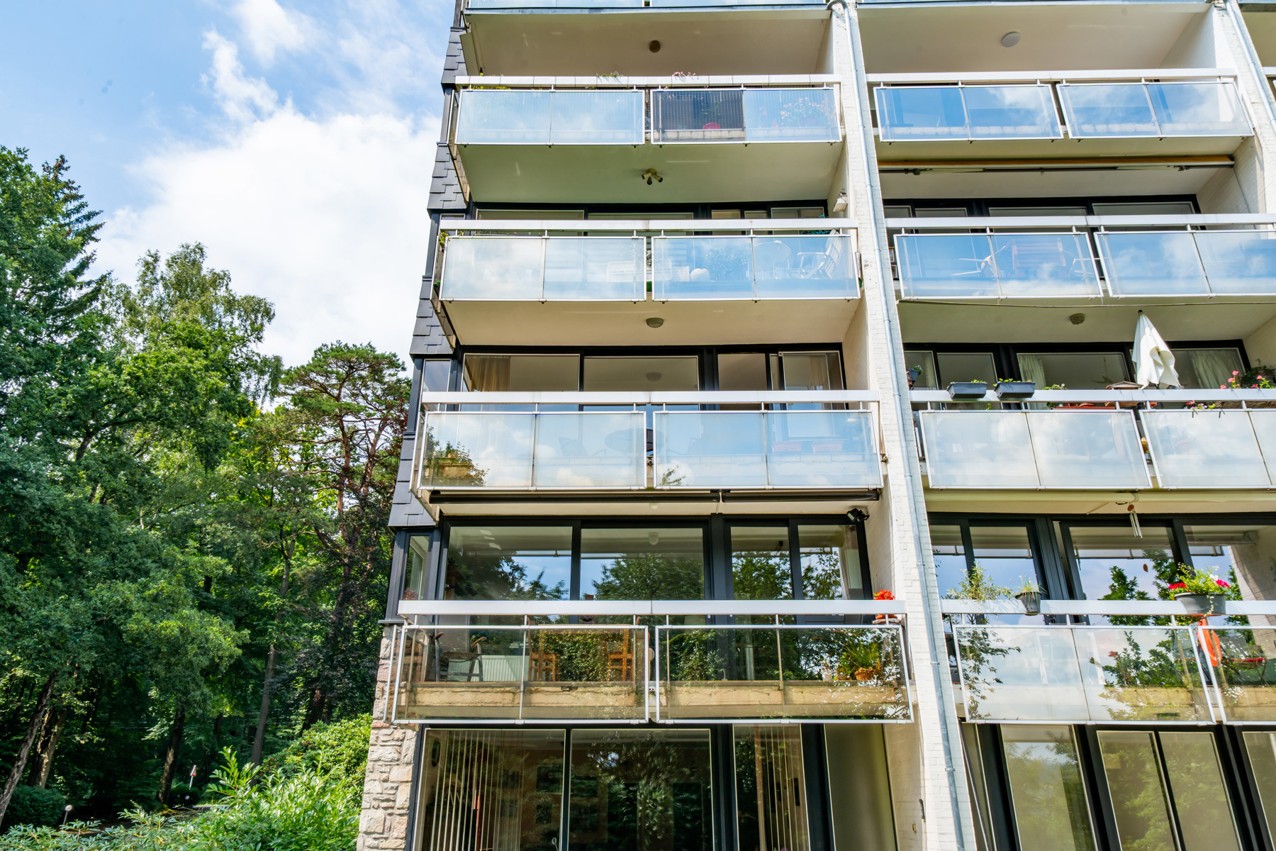 Illustration de la galerie