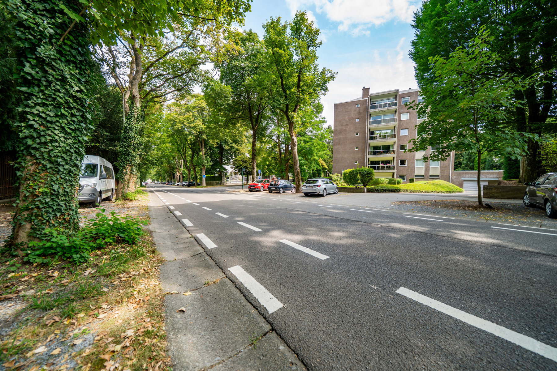 Illustration de la galerie