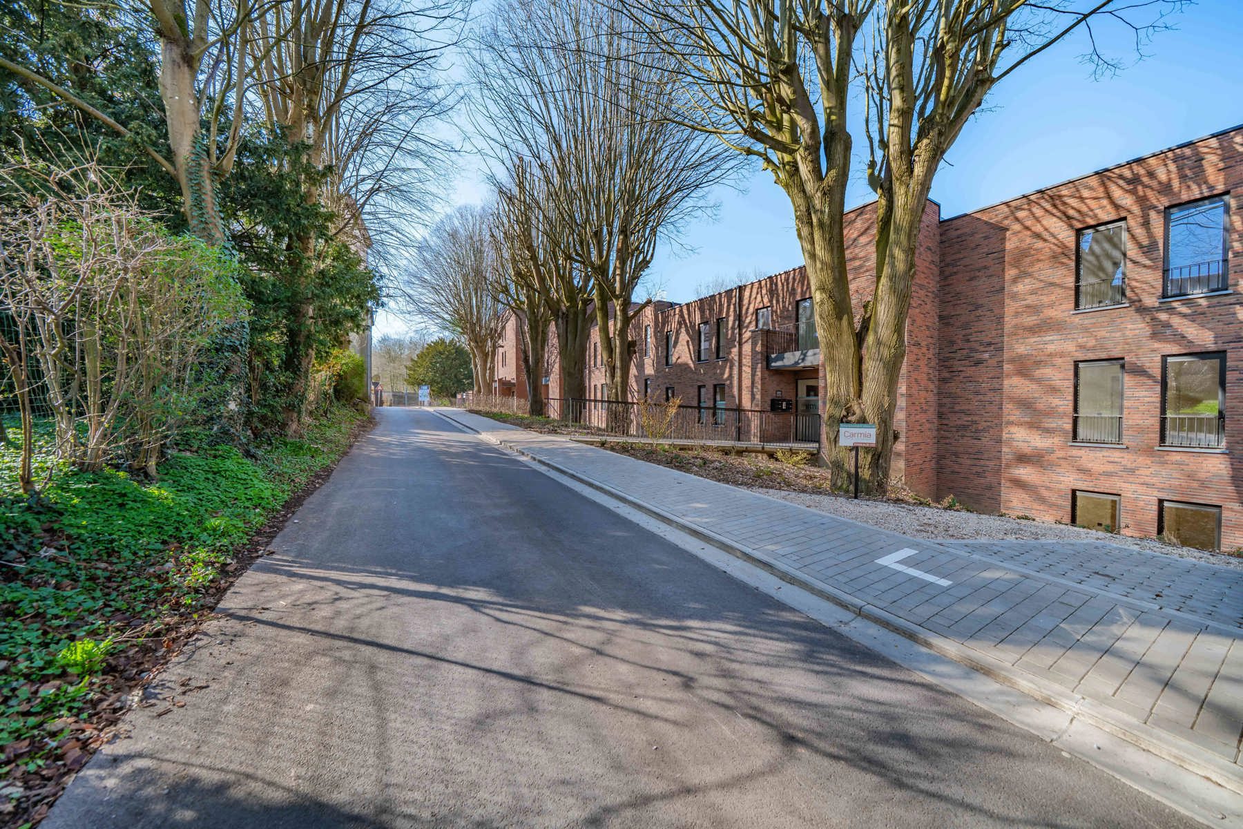 Illustration de la galerie