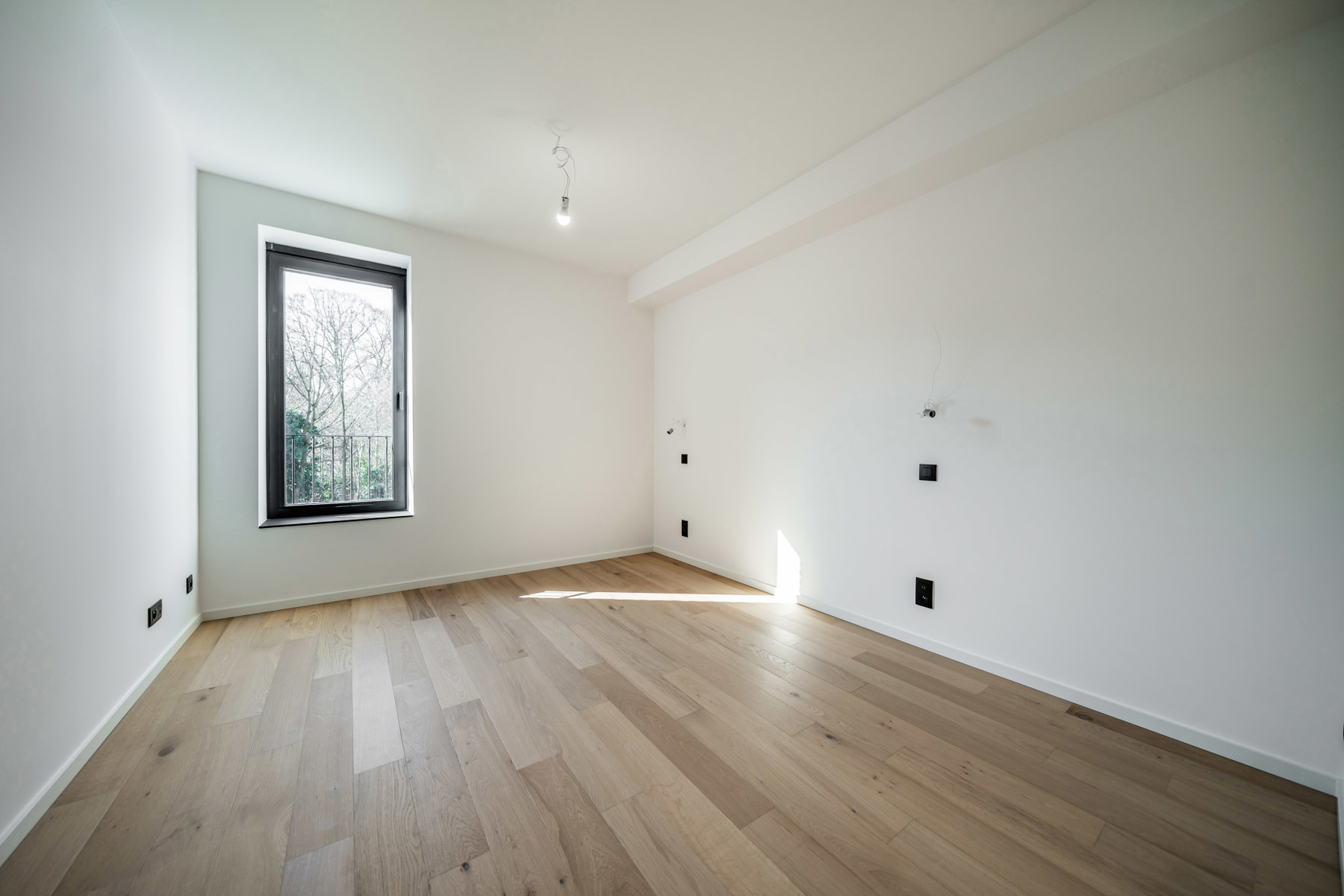 Illustration de la galerie