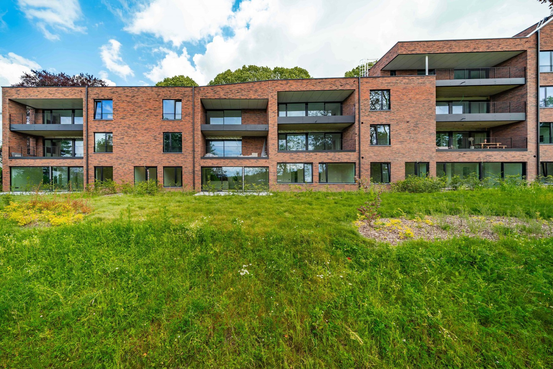 Illustration de la galerie