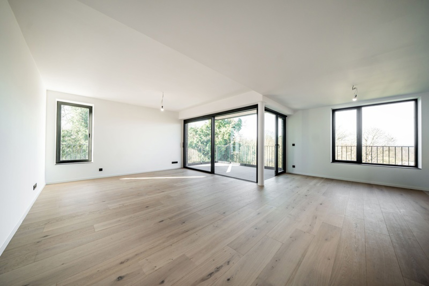 Illustration de la galerie