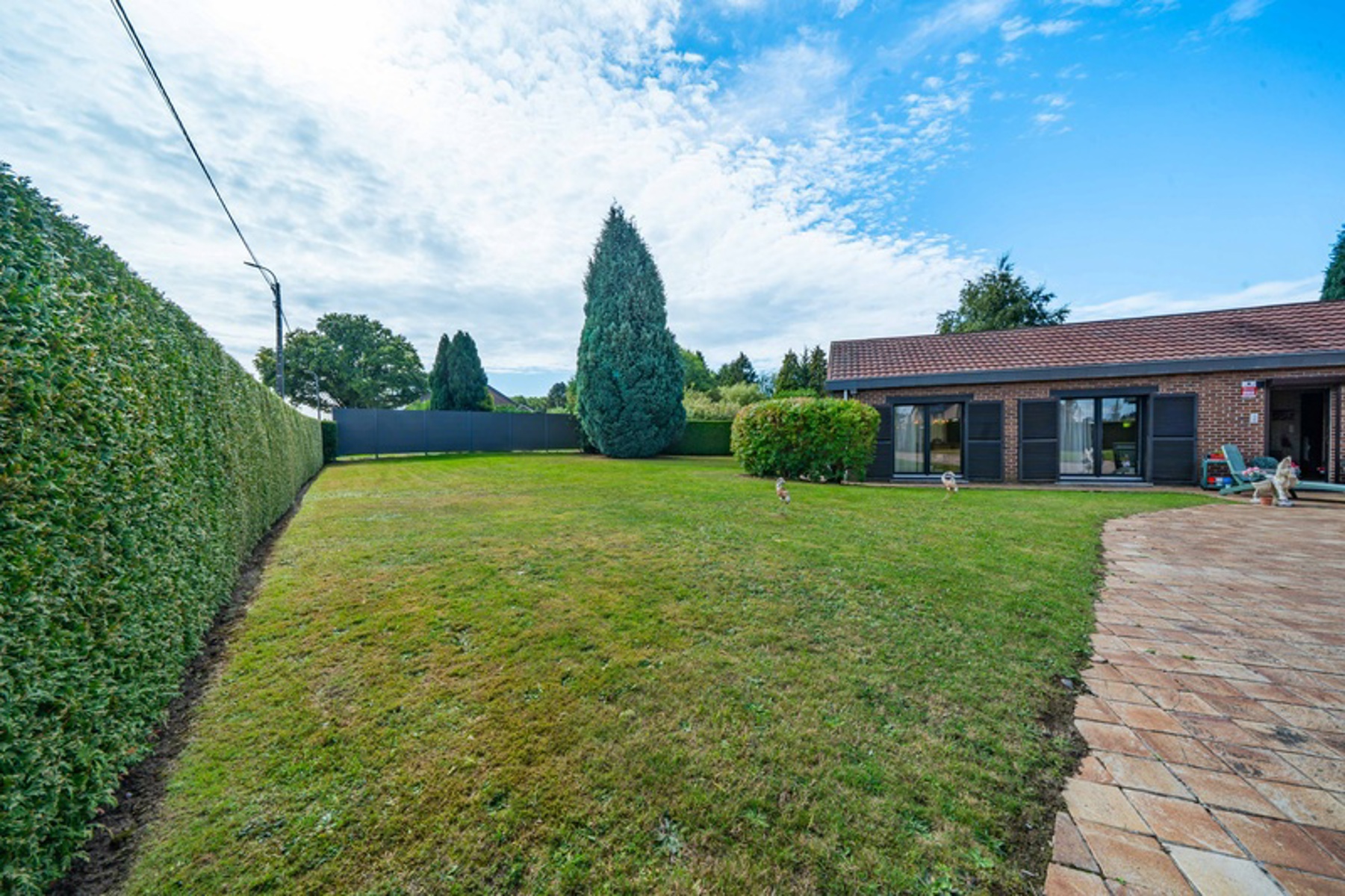 Illustration de la galerie