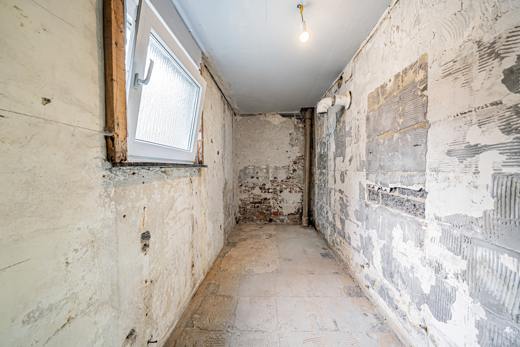 Illustration de la galerie