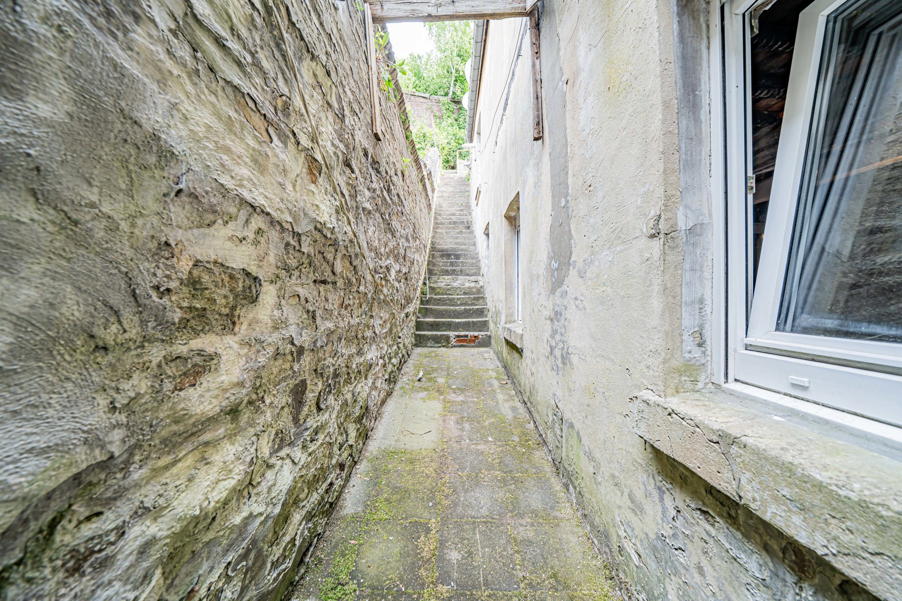 Illustration de la galerie