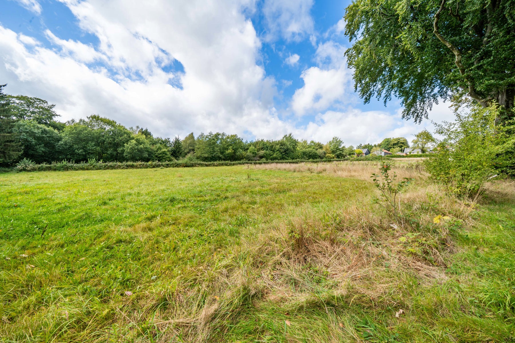 Illustration de la galerie