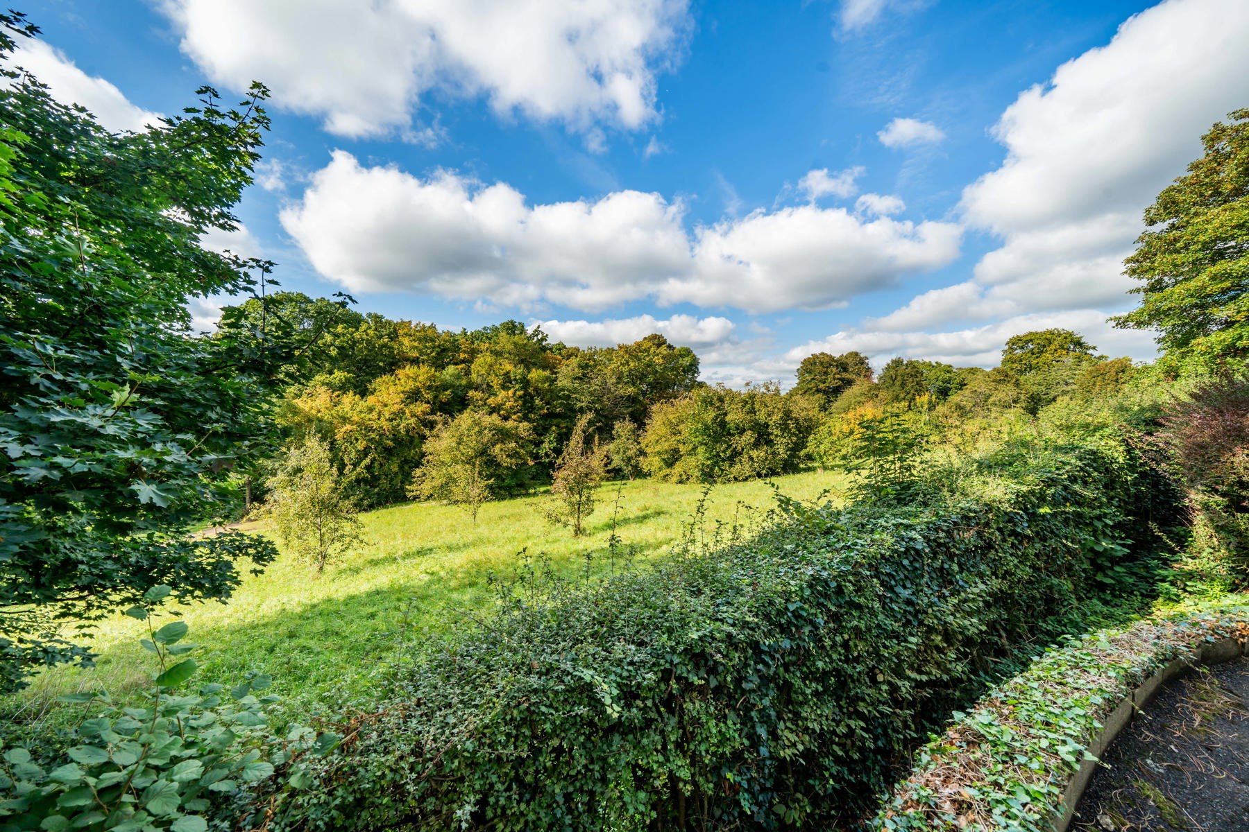 Illustration de la galerie