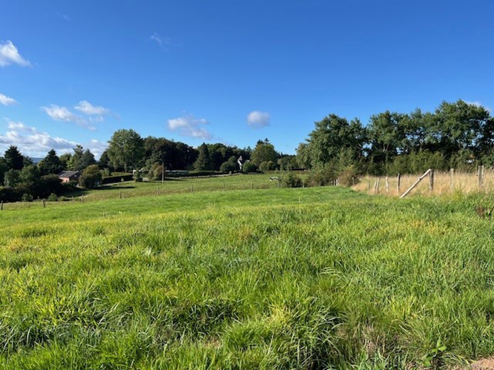 Illustration de la galerie