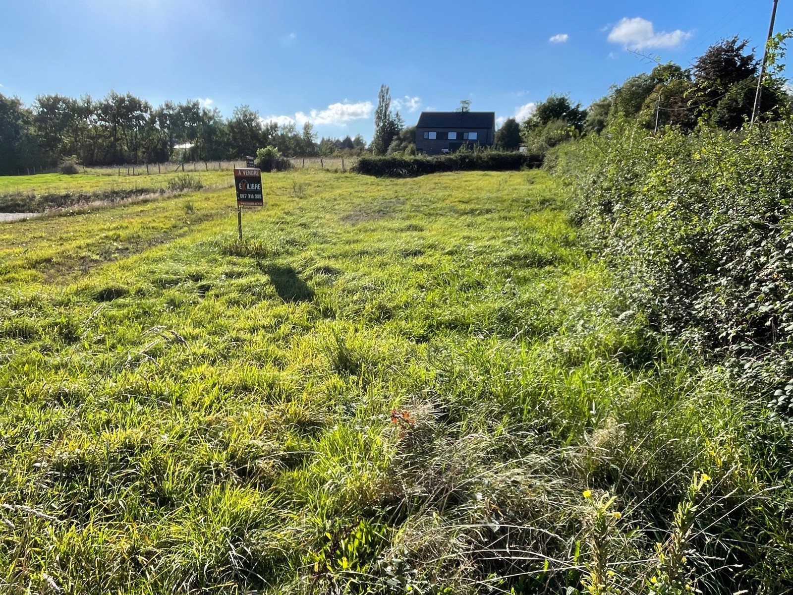 Illustration de la galerie