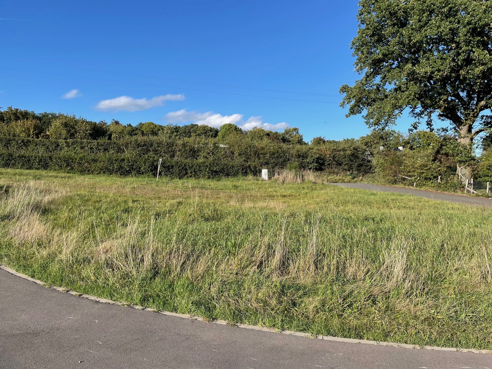 Illustration de la galerie