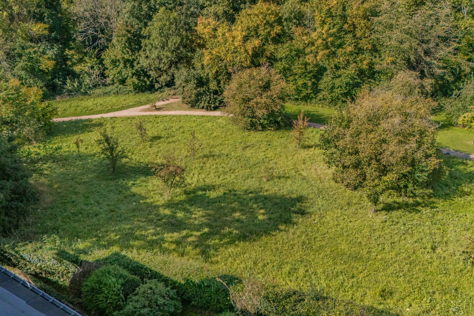 Illustration de la galerie