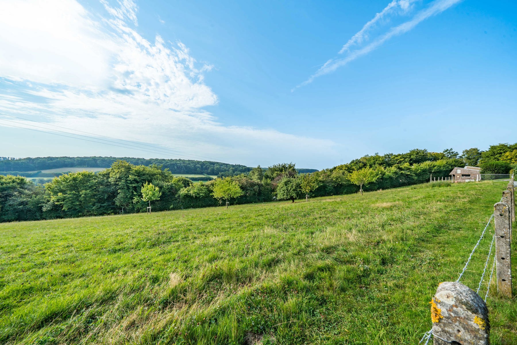 Illustration de la galerie