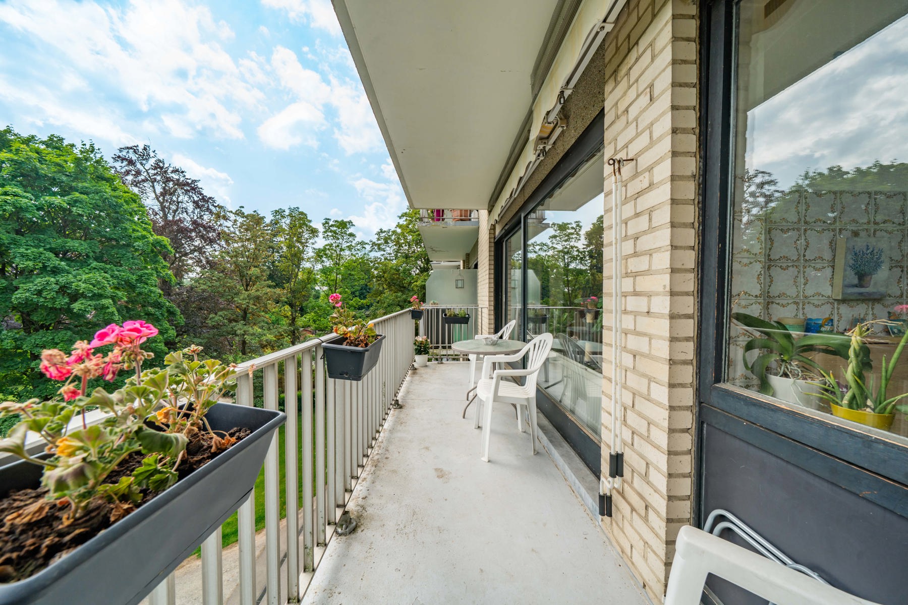 Illustration de la galerie