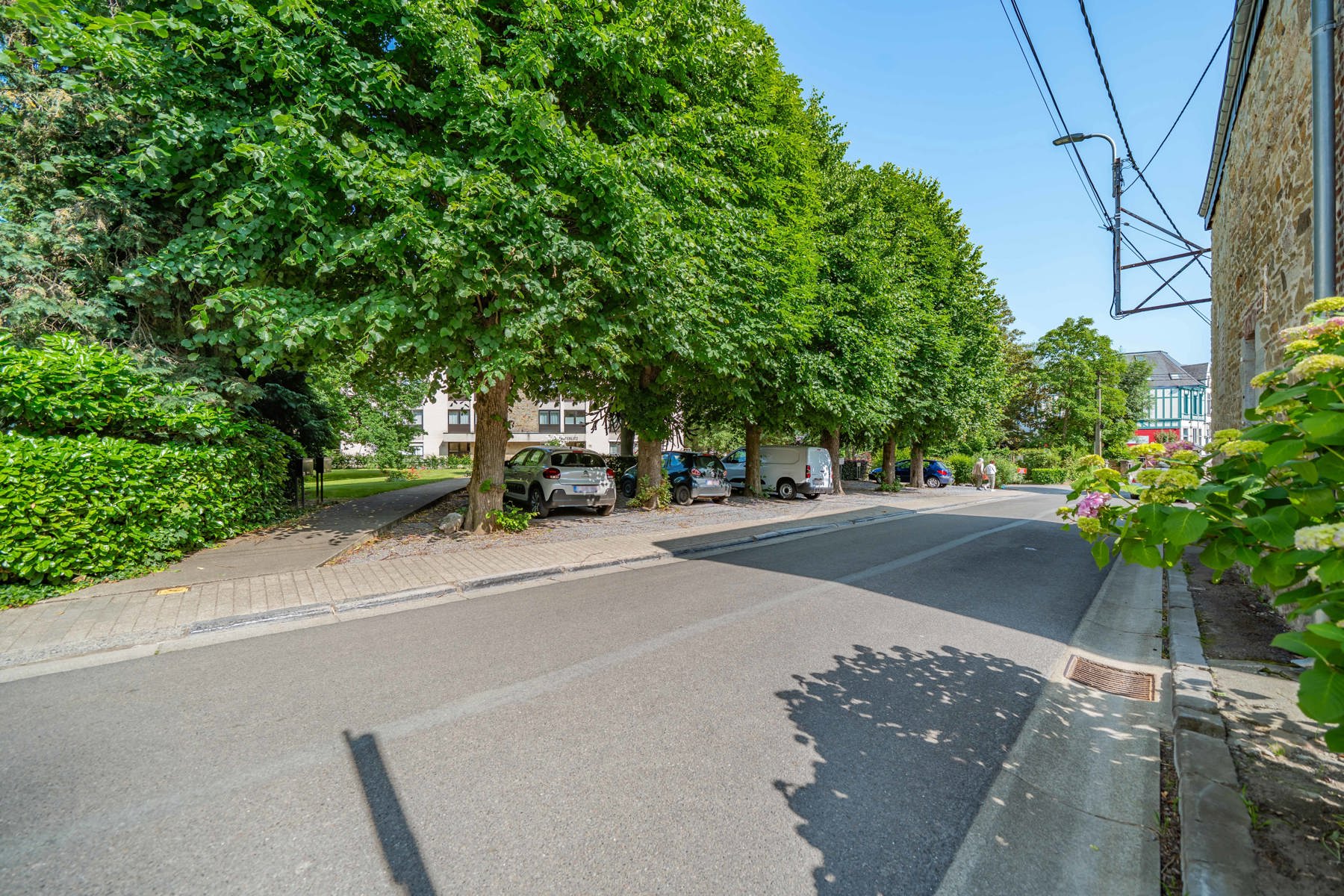 Illustration de la galerie