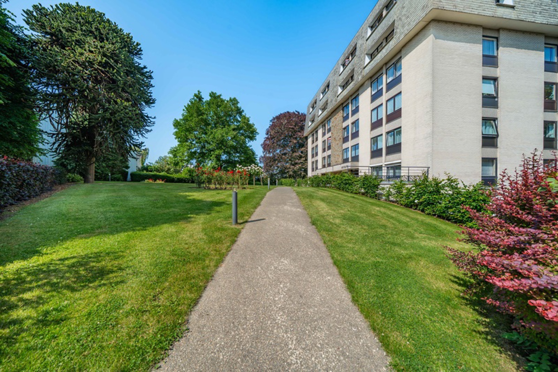 Illustration de la galerie