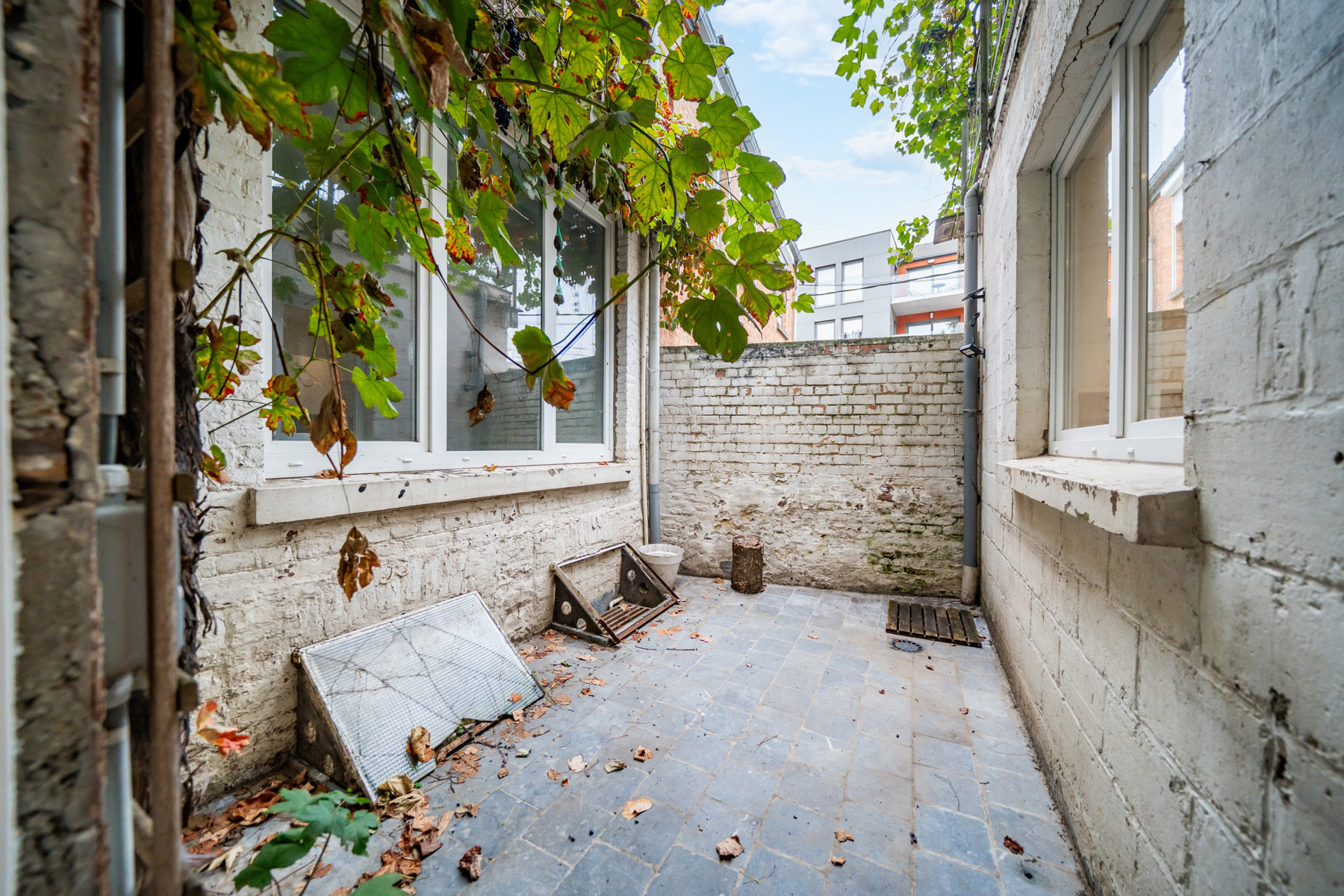 Illustration de la galerie