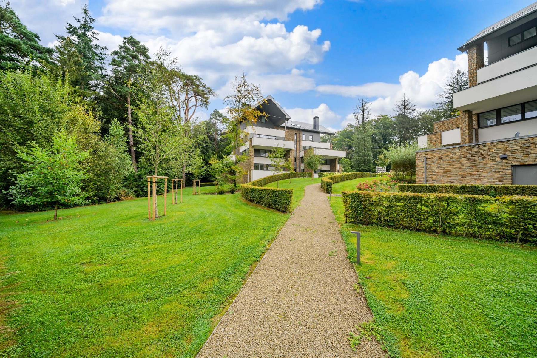 Illustration de la galerie