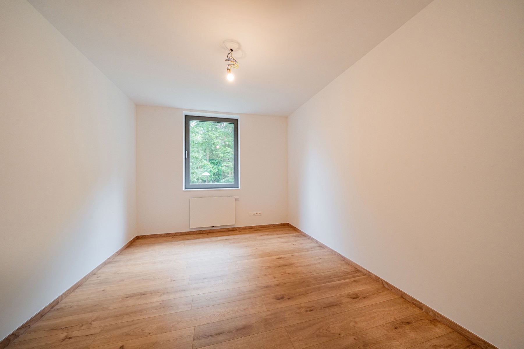 Illustration de la galerie