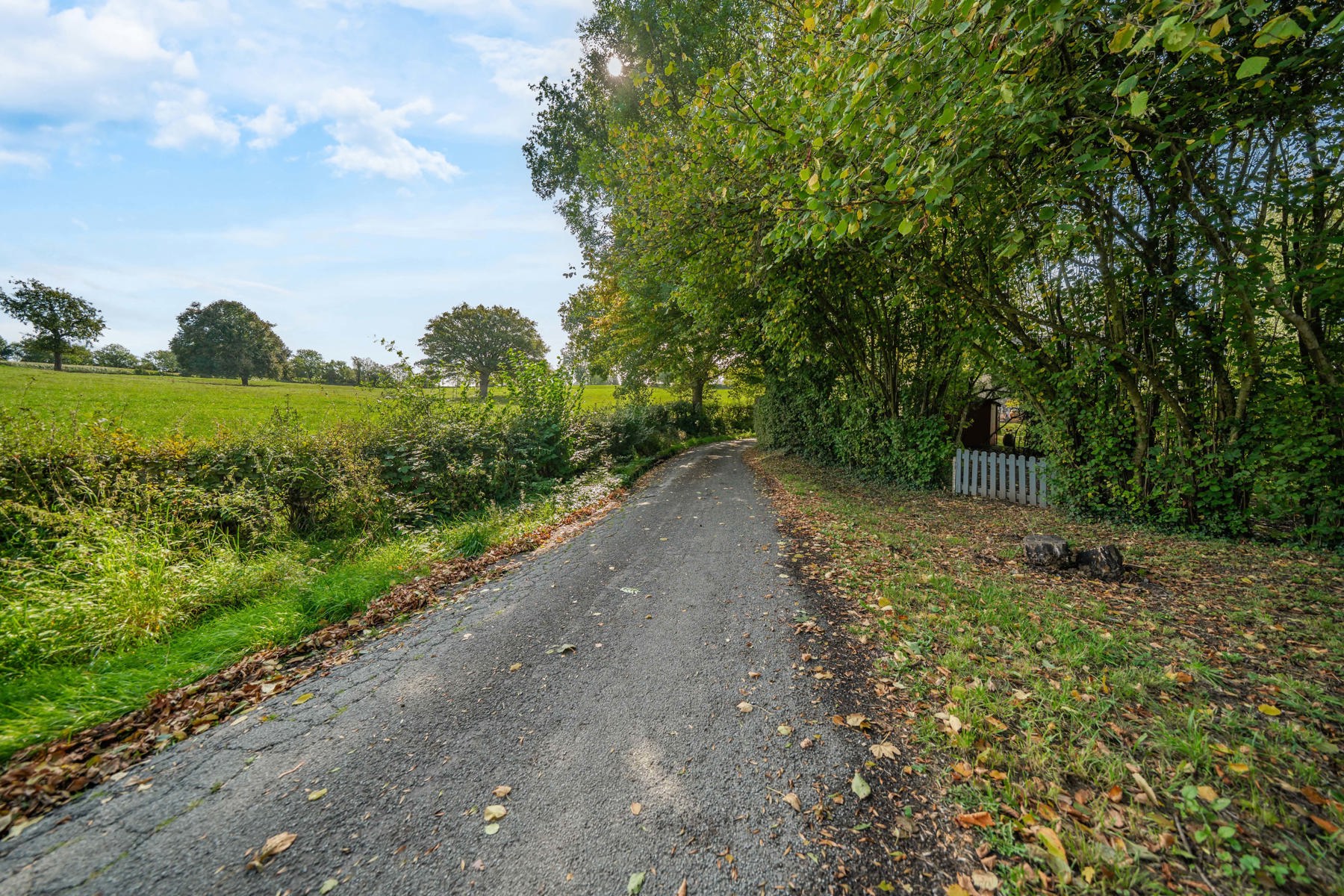 Illustration de la galerie