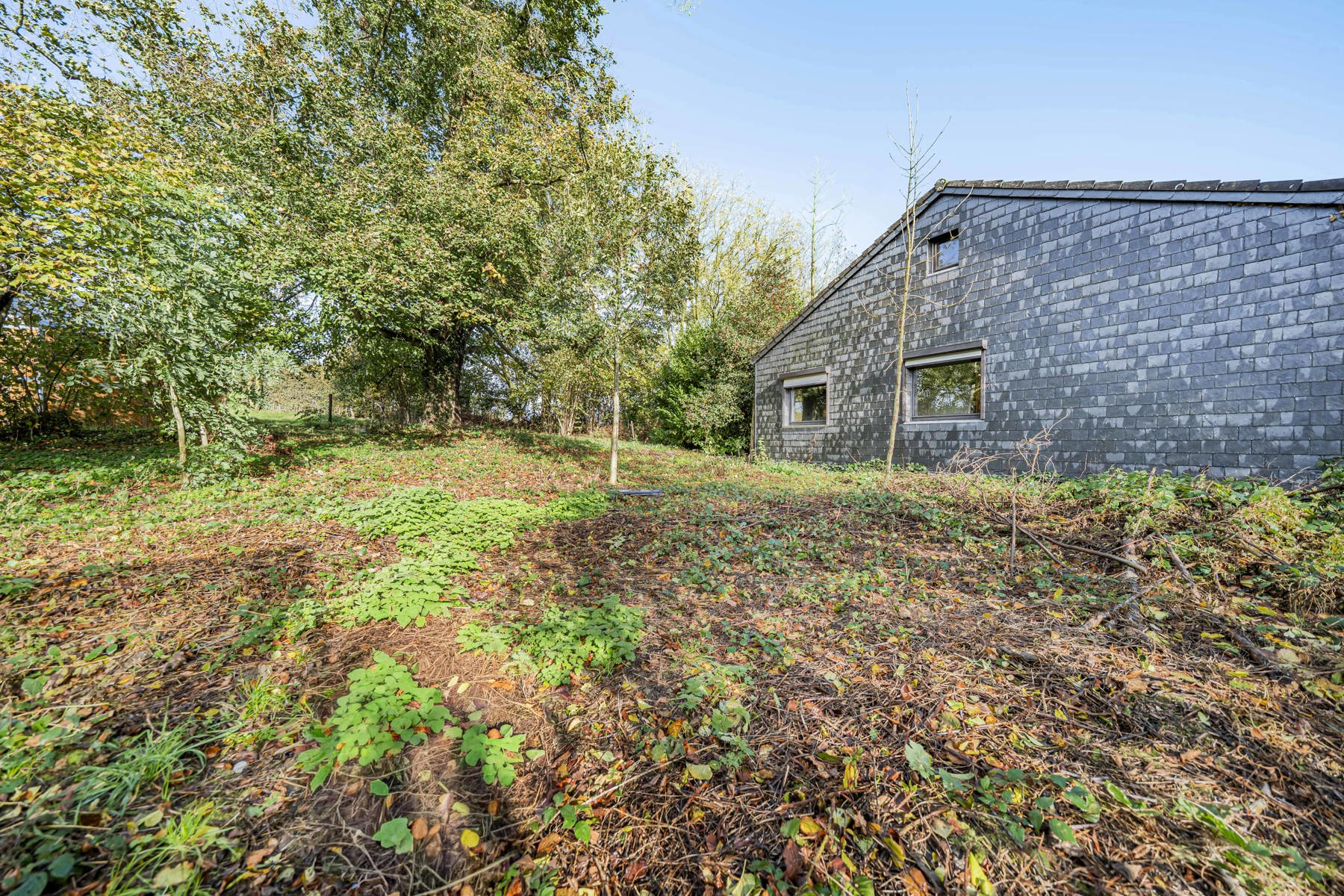 Illustration de la galerie