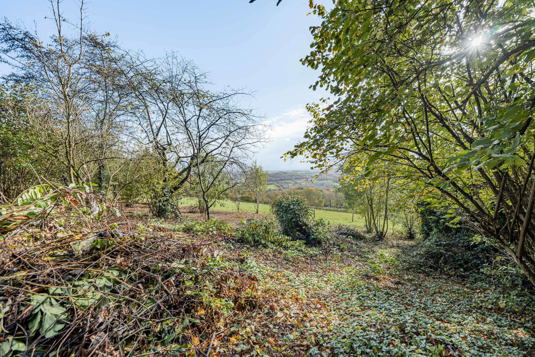 Illustration de la galerie