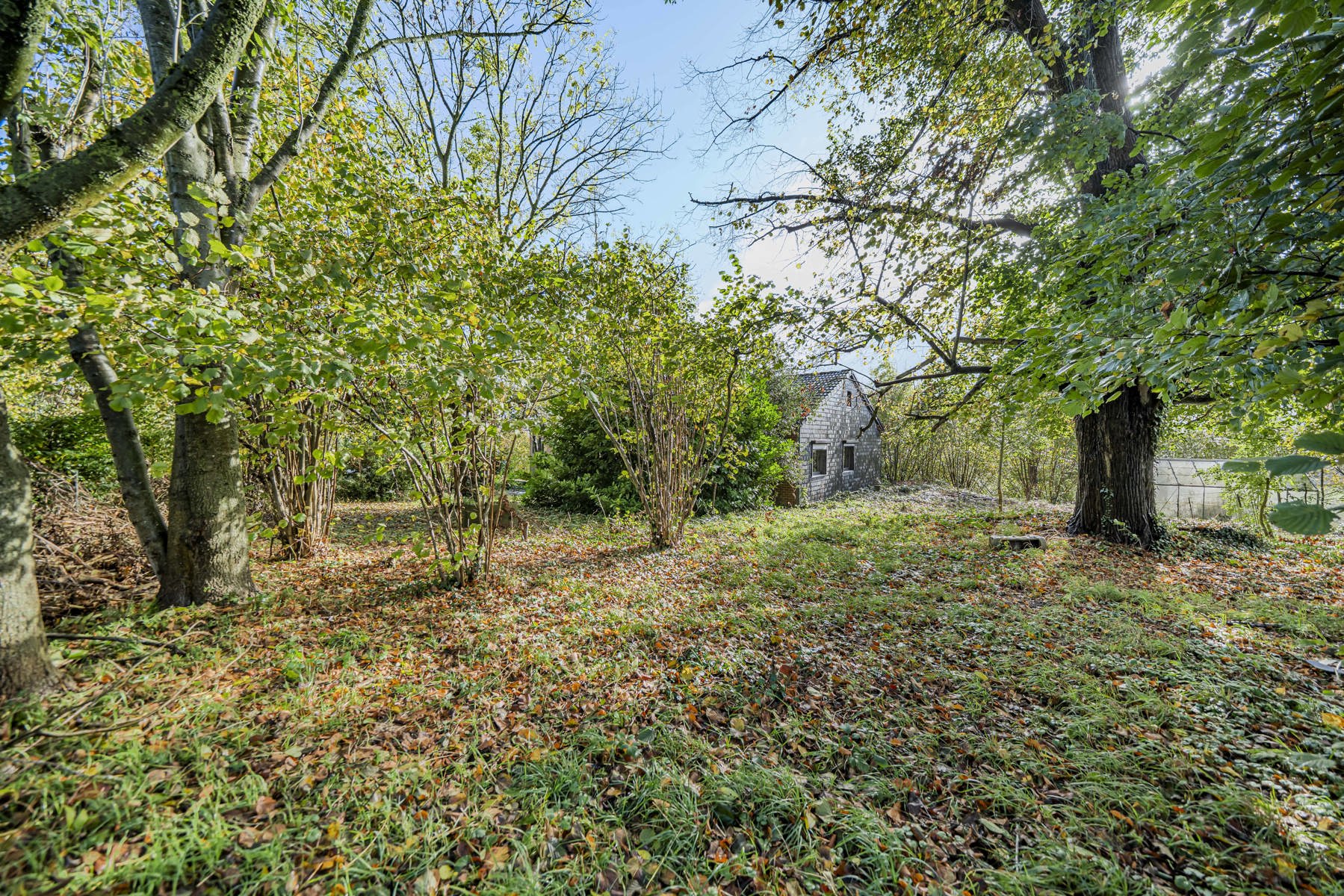 Illustration de la galerie