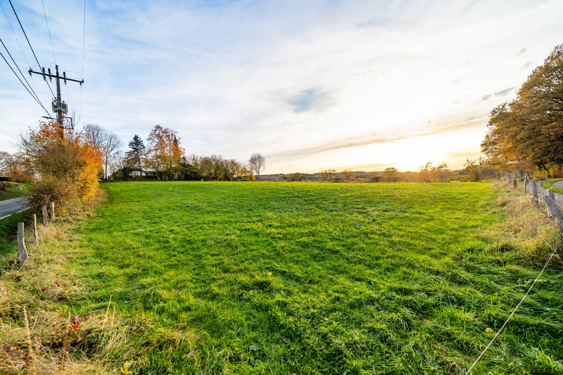 Illustration de la galerie