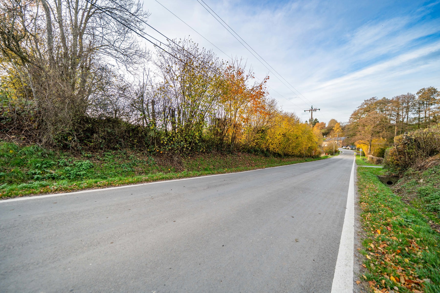 Illustration de la galerie