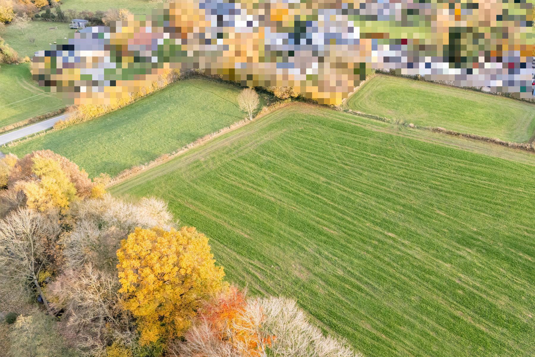 Illustration de la galerie