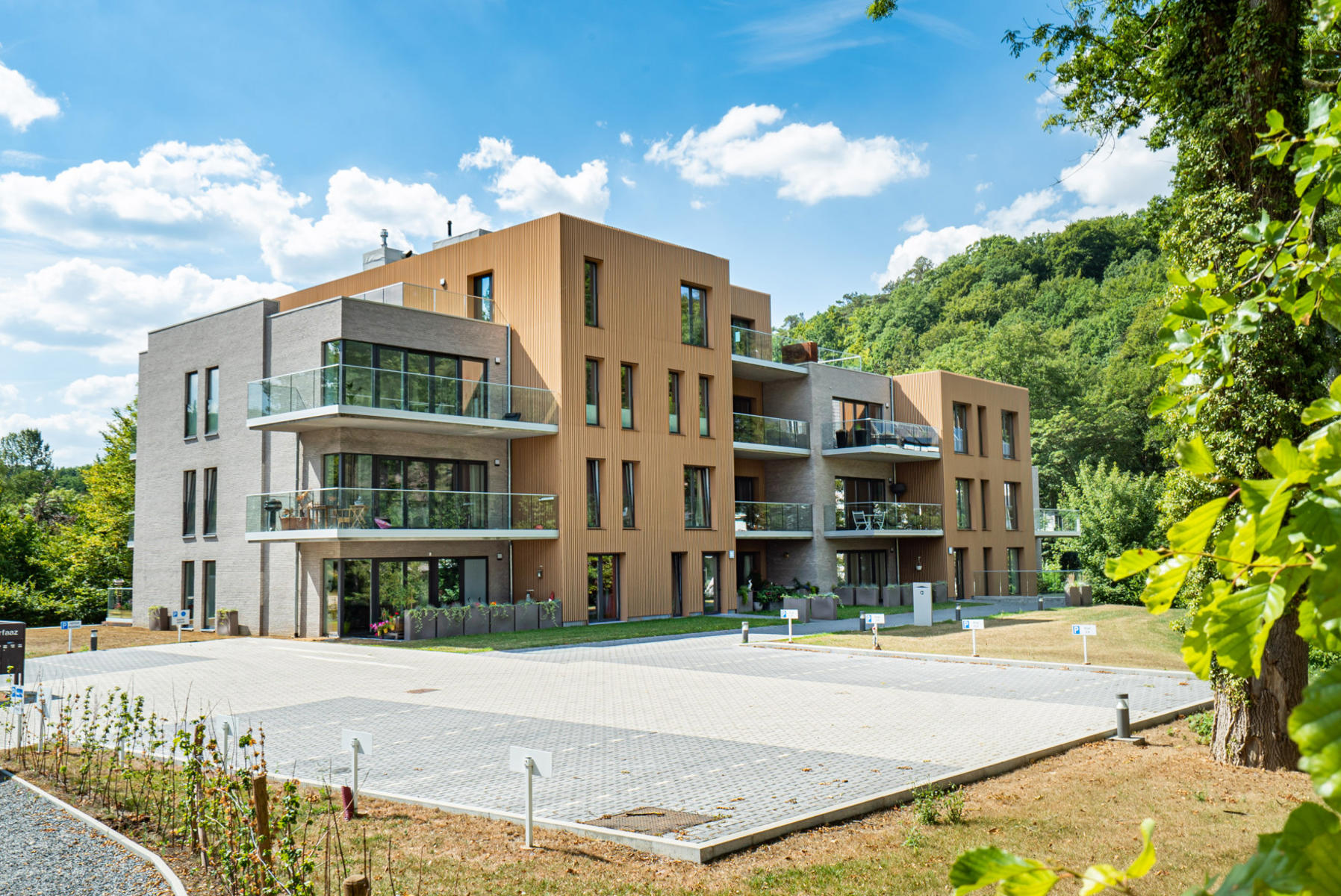 Illustration de la galerie